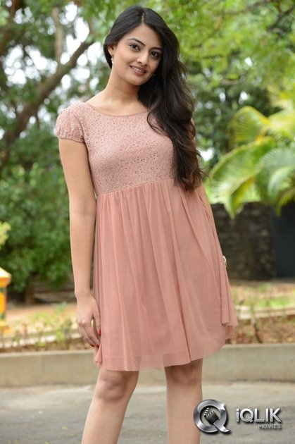 Nikitha-Narayan-at-Ladies-and-Gentlemen-Movie-Song-Launch